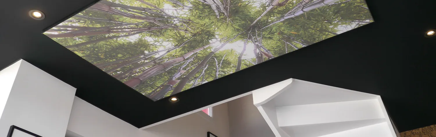 entreprise de peinture chemille